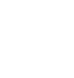 Octupus
